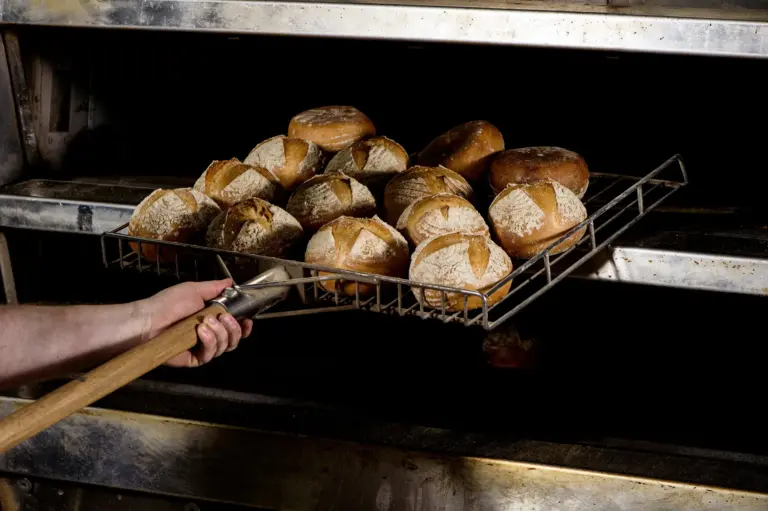 Frankonia_Baking-270_Compressed